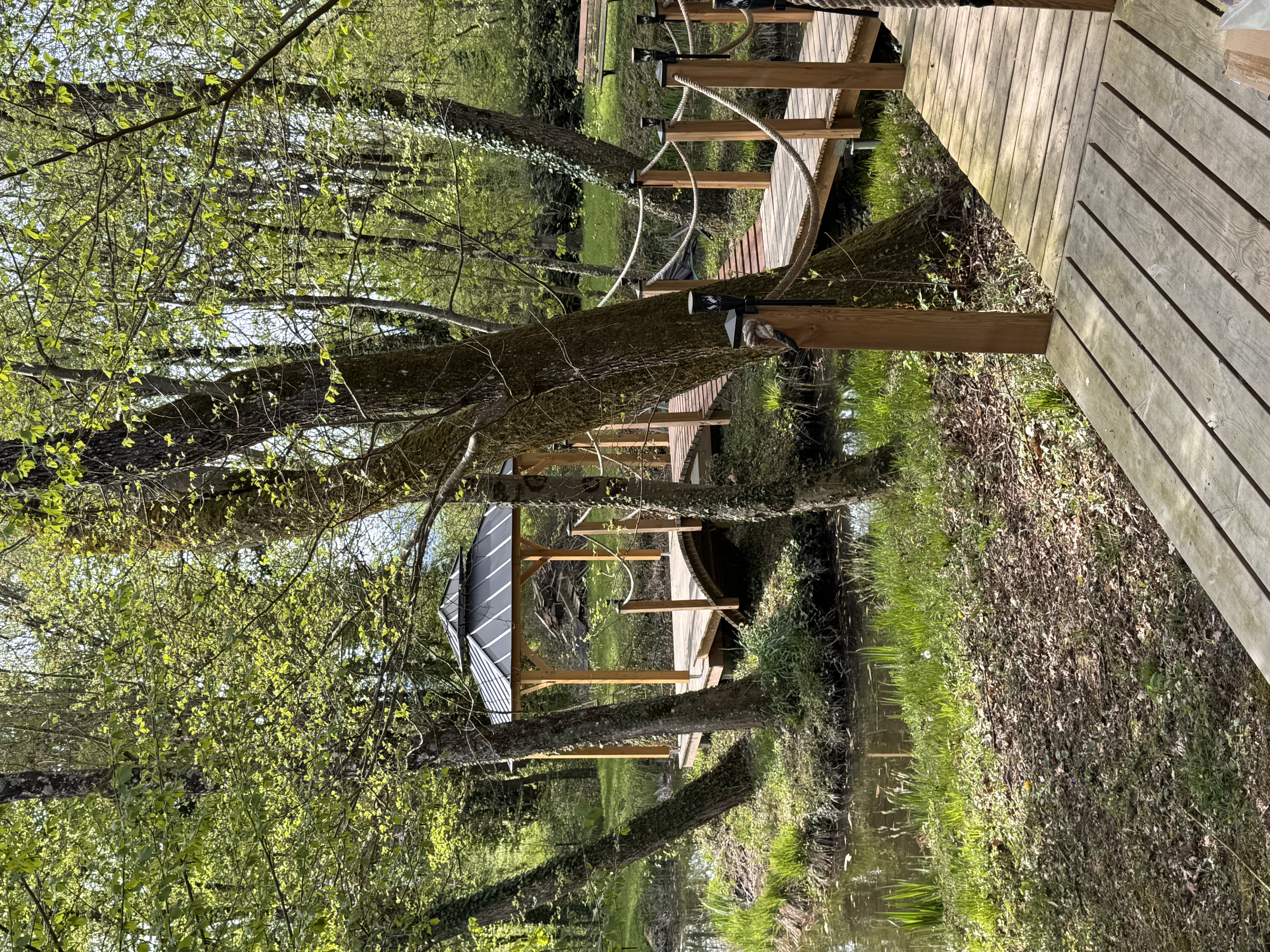 Ponton bois sur l'eau en forêt — construire sans laisser de trace